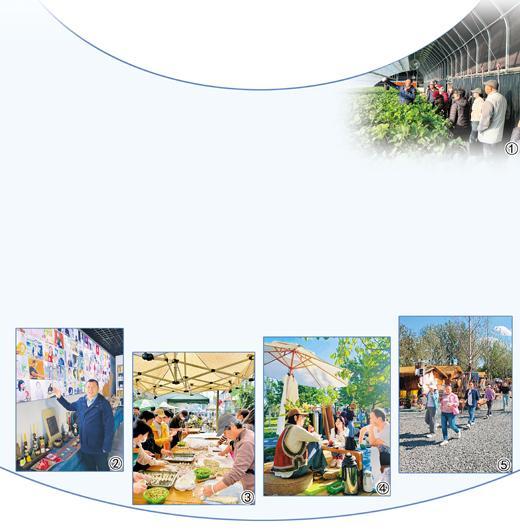 探访北京“百千工程”示范村——昌平辛庄村一场村民与创客的双向奔赴（乡情村貌）