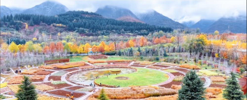 雪染冬韵，我在周至等你