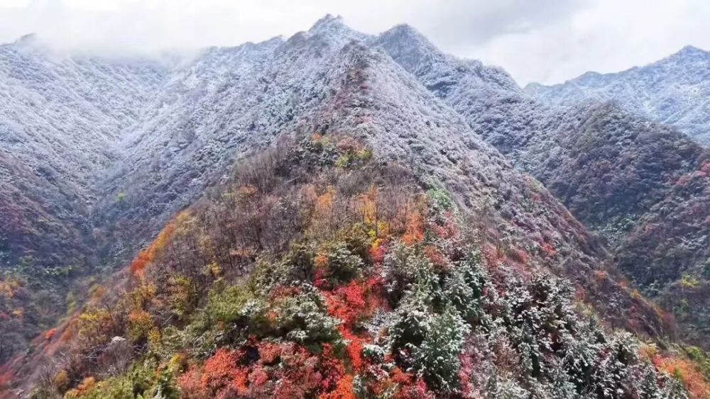 雪染冬韵，我在周至等你