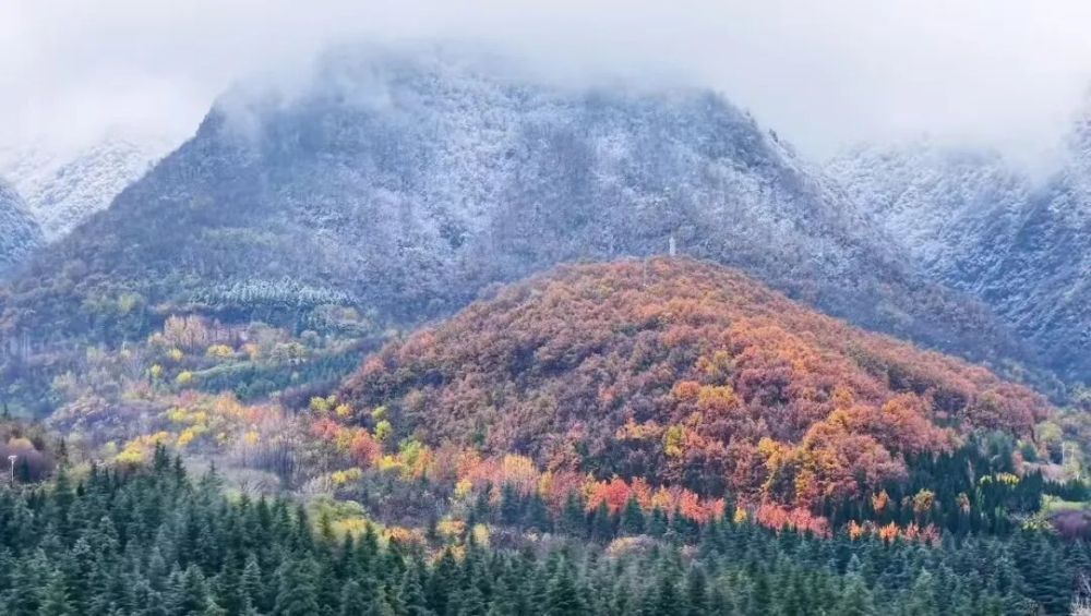 雪染冬韵，我在周至等你