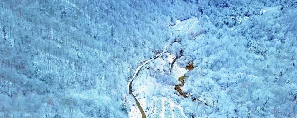 雪染冬韵，我在周至等你