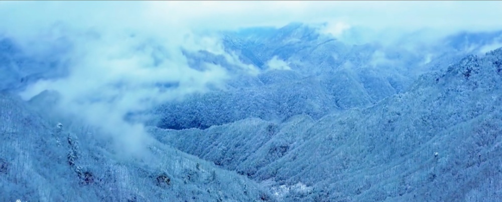 雪染冬韵，我在周至等你