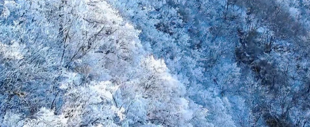 雪染冬韵，我在周至等你