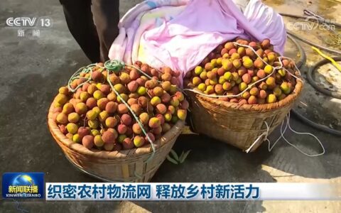 织密农村物流网 释放乡村新活力