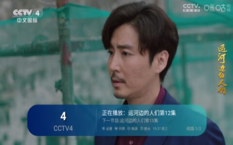 黑龙江手机app手机app开发熊猫电视安卓版